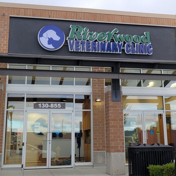 Riverwood-Veterinary Channel letter sign